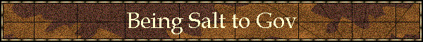 Being Salt to Gov